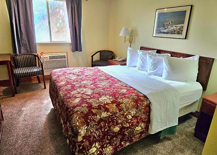 Affordable 3* Evanston