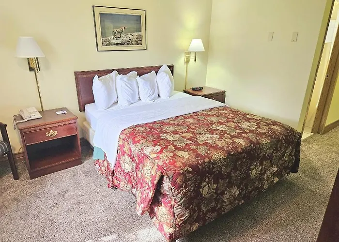 Affordable 3*