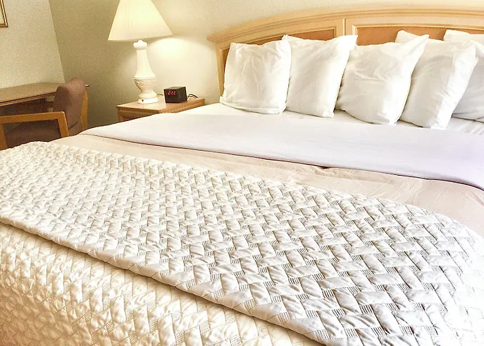 Affordable 3* Evanston