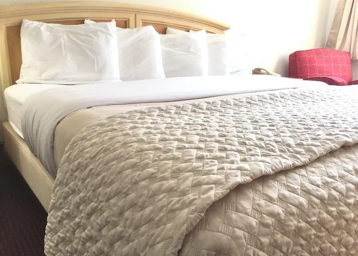 Affordable Hotel 3*