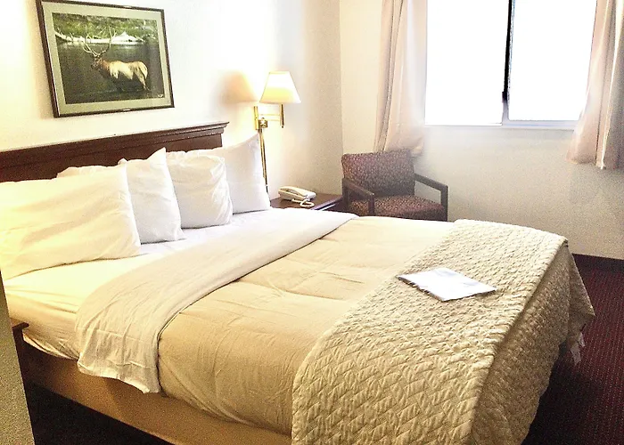 Affordable Hotel