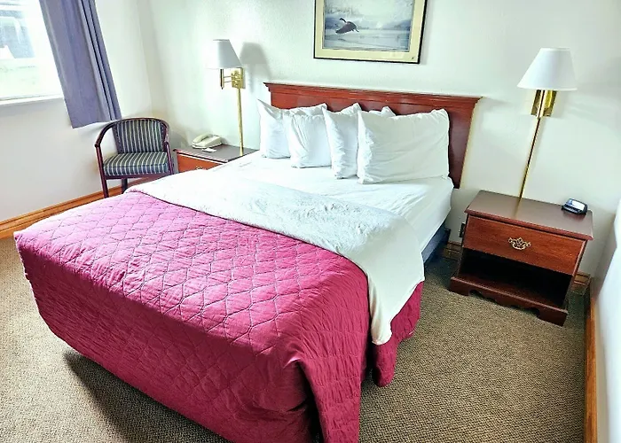 Affordable Evanston